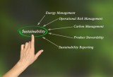 Corporate-Sustainability-Reporting-768x525.jpg